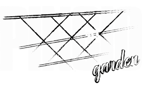 logo-w